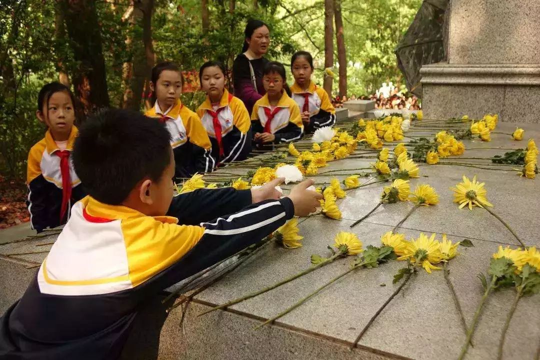 号角┃梨花风起正清明,少先队员们,请给先烈献朵花