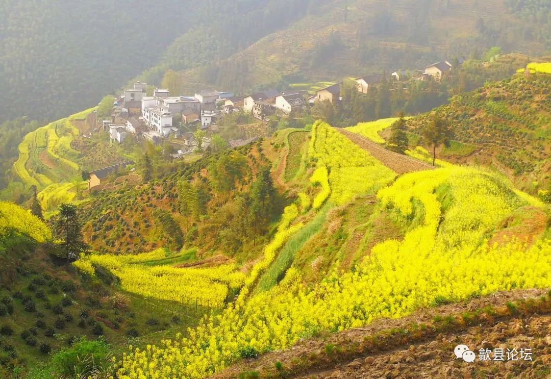 天边的山村——歙县谷丰 2018春 歙县长陔乡韶坑谷丰自然村地处平均