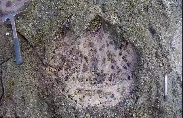 苏格兰天空岛发现1.7亿年前的恐龙脚印,大到令你吃惊!