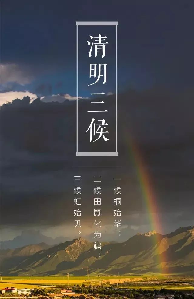 古代将清明分为三候:"一候桐始华;二候田鼠化为鹌;三候虹始见.