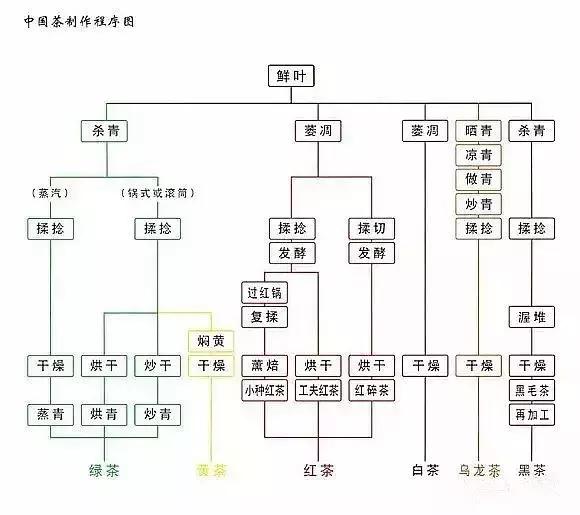 2分钟读懂中国六大茶类(附泡法)