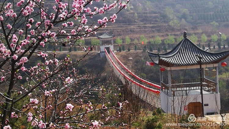 神奇之地——山西长治县振兴小镇:乡趣花海 青鸢凭梦