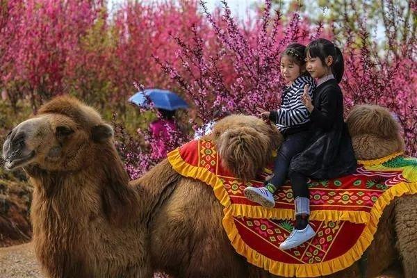 绵阳乐兴人口_绵阳米粉图片