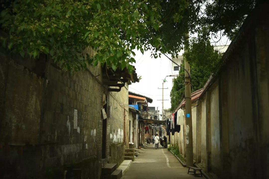 而被岁月和风雨磨损了的风光的巷子,不露痕迹地保存着历史的印记,却