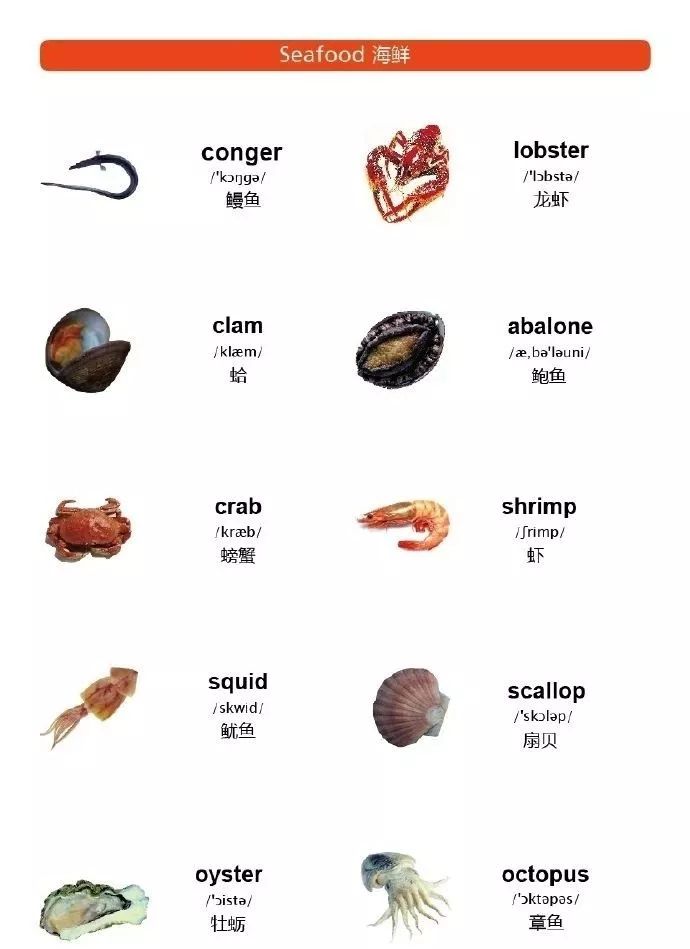 龙虾螃蟹用英语怎么说