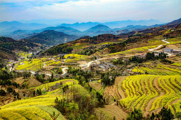 陕西汉阴:凤堰古梯田的油菜花