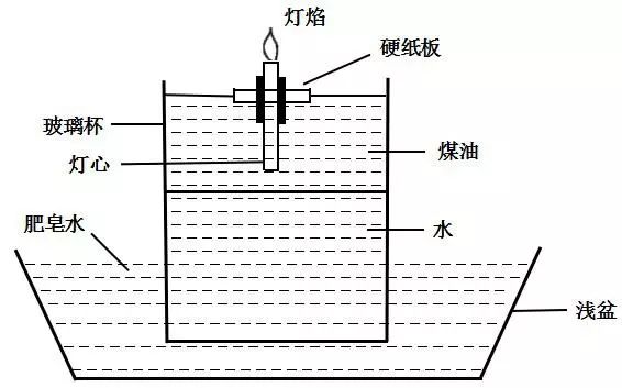 人长跳蚤怎么办