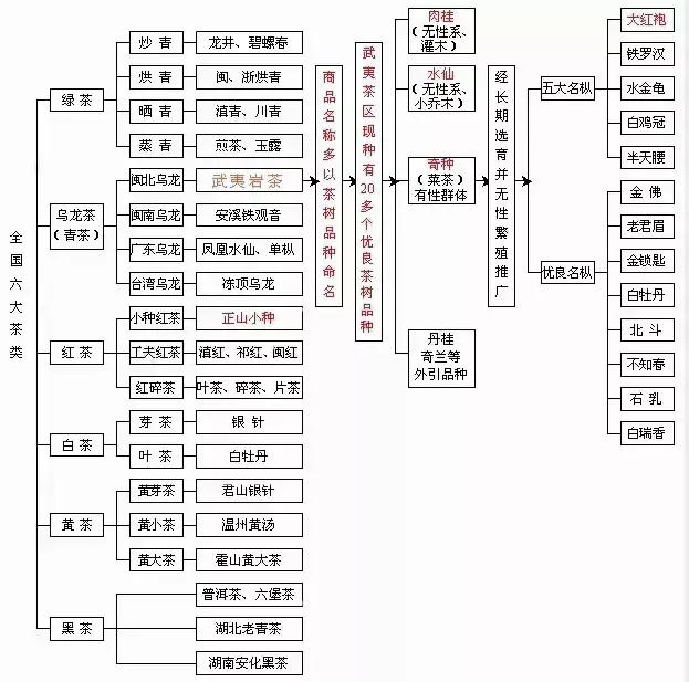 2分钟读懂中国六大茶类(附泡法)