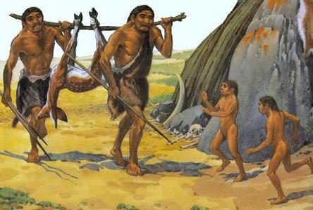 数百万年的进化,使我们和猿人祖先有什么区别?
