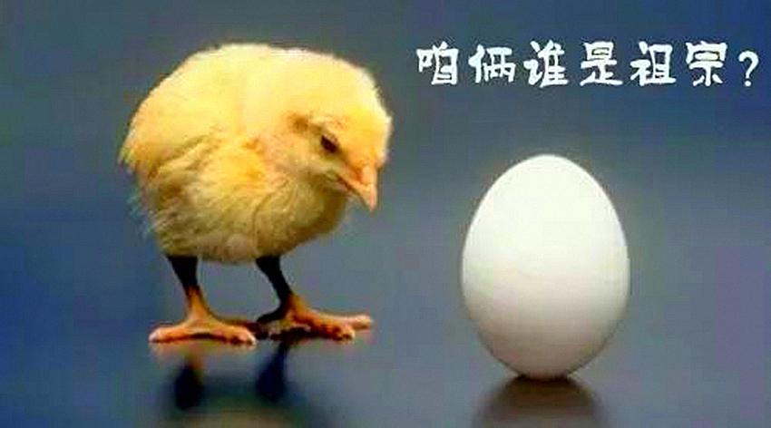 鸡什么蛋成语_成语故事图片(2)