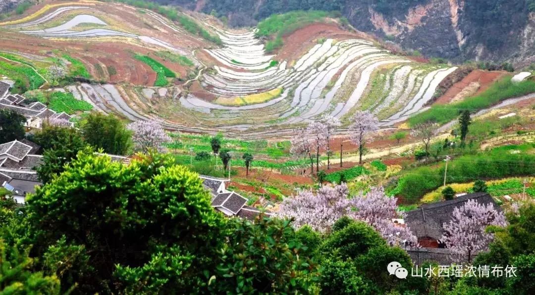 精彩三月三,宁南西瑶等您来_搜狐旅游_搜狐网