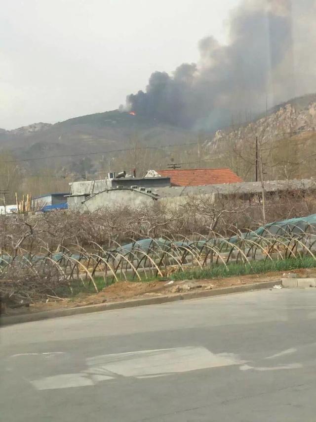 4月6日中午12:00左右,沂源县石桥镇郭家上峪村圣山顶发生火情.