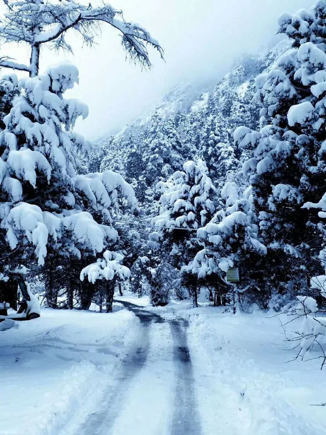 不少细心的网友都拍摄下雪中美景