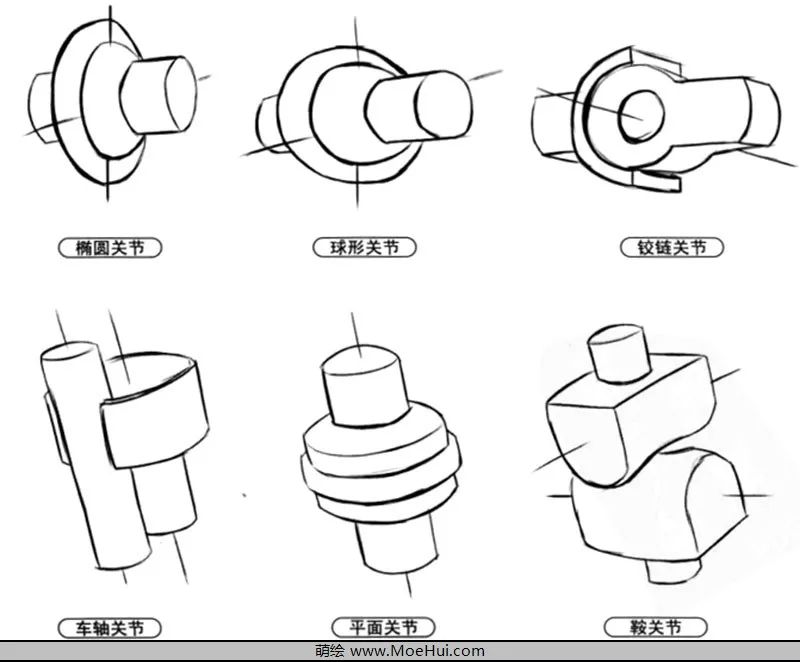 大致分为6种:球形关节,椭圆关节,铰链关节,鞍关节,车轴关节和平面关节