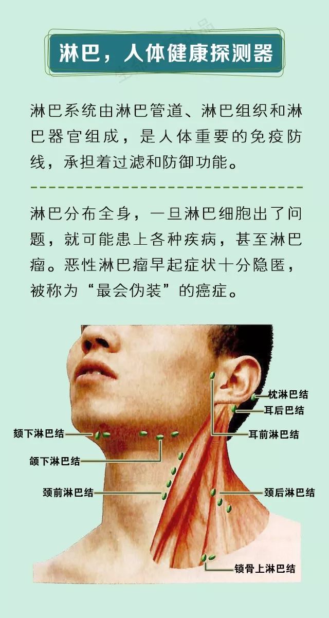 【健康】身体病了,淋巴会说话!这7处淋巴一定不能堵(附疏通手法)