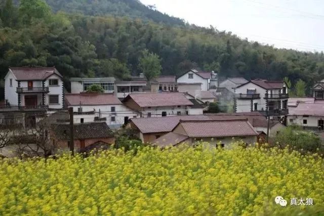 喜讯!芜黄高速4月7日在泾县昌桥乡正式开工!