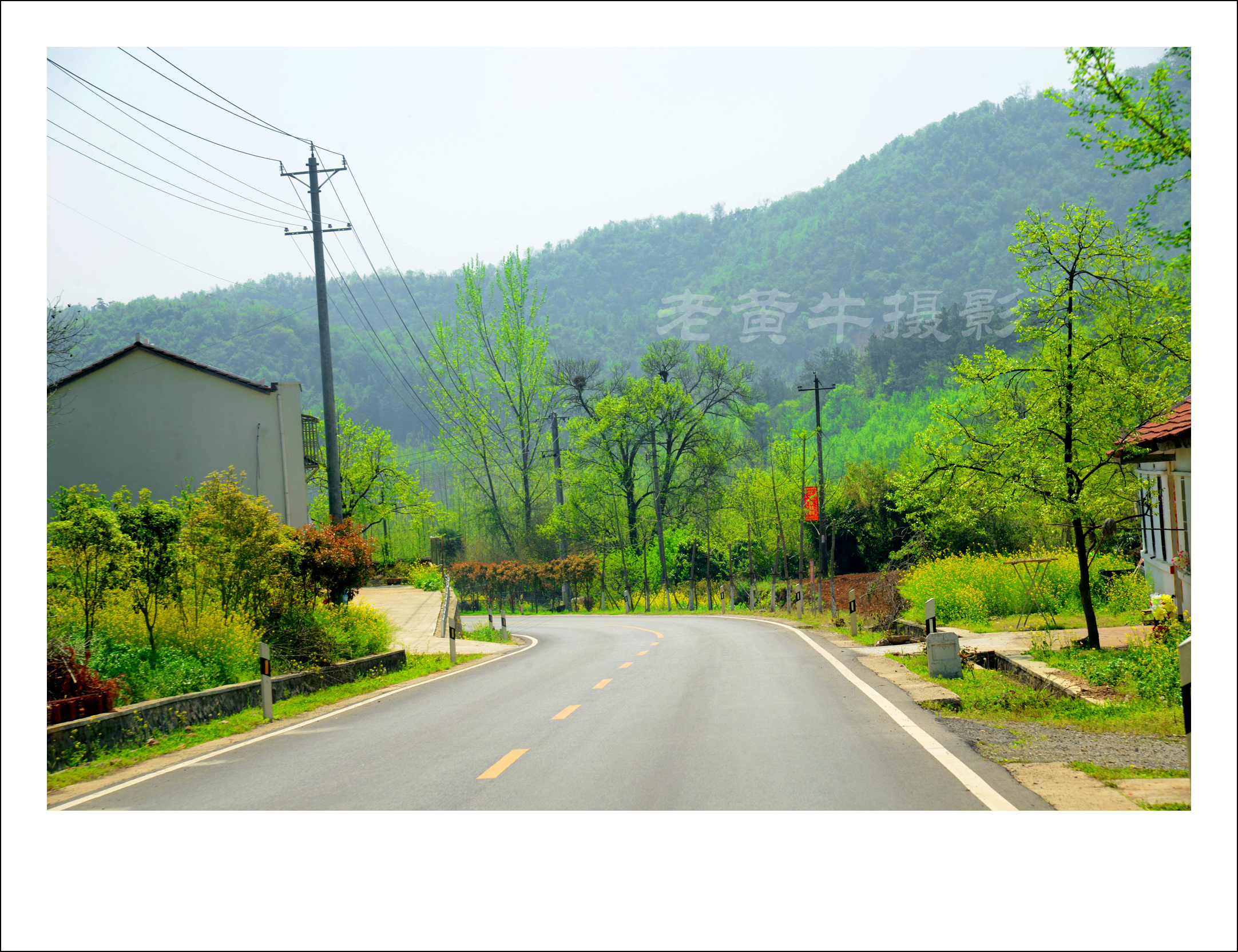 京山杨集公路:一条通往春天最美的乡村公路