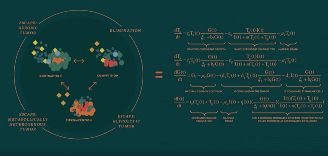 数学模型的美丽在于它能用一种严格的方式把我们知道的东西形式化