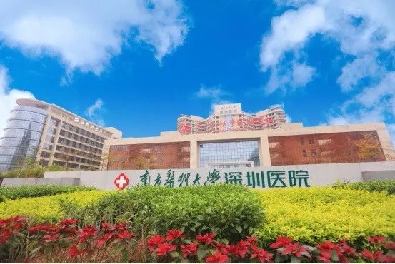 (南方医科大学深圳医院 来源:百度)