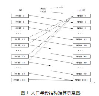 leslie人口模型_牙齿模型图片