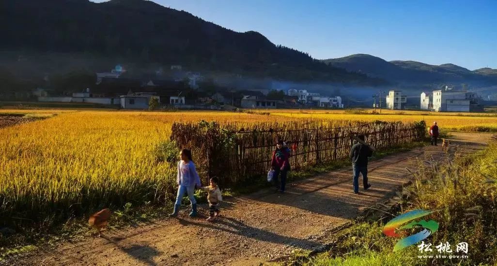 松桃农业人口_松桃民族中学(2)