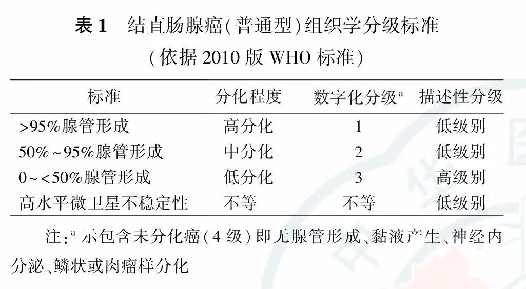 3.5 病理报告内容