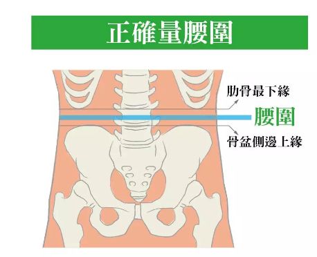 腰臀比