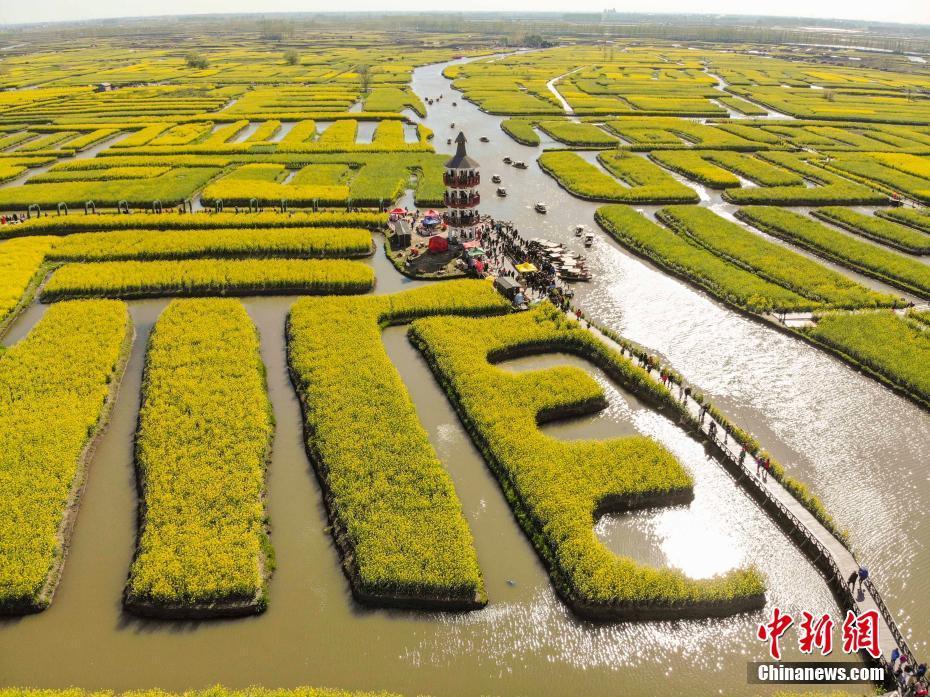 江苏兴化千垛景区油菜花盛开 赏花观景人流如潮