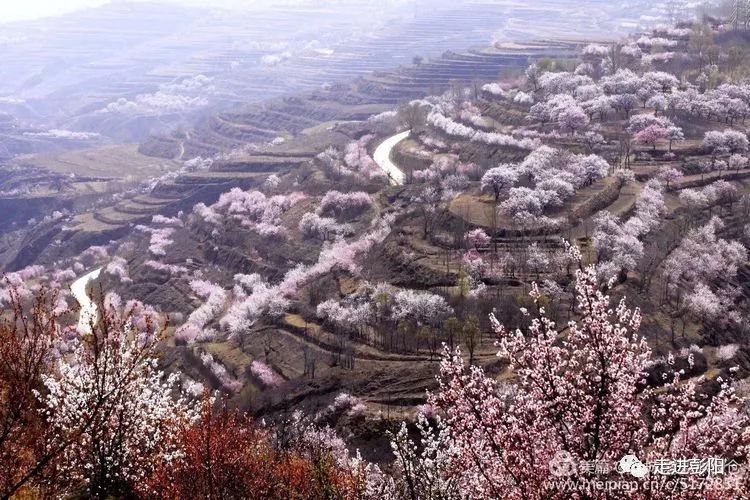 观景兴致尚未减 自驾房车游长廊 时间:2018年4月山花节期间 地点:彭阳