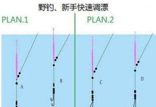 野钓"调四钓二"详解,爆护原来这么轻松!