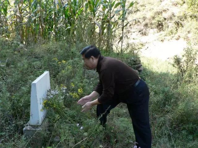 在雷烨烈士墓前献上一捧山花