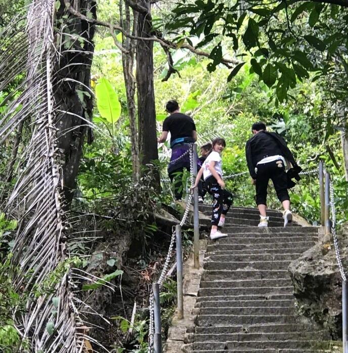 一家四口出游爬山田亮解锁各种姿势为儿子拍照