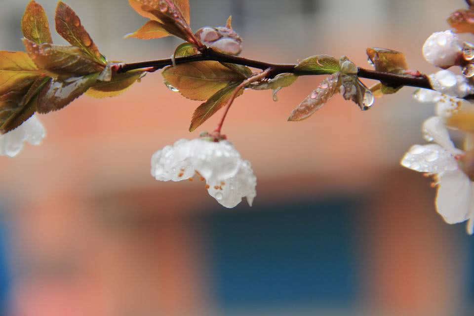 春雨雾气灯光景物连线