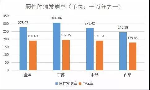 区域人口结构图_中国人口结构图