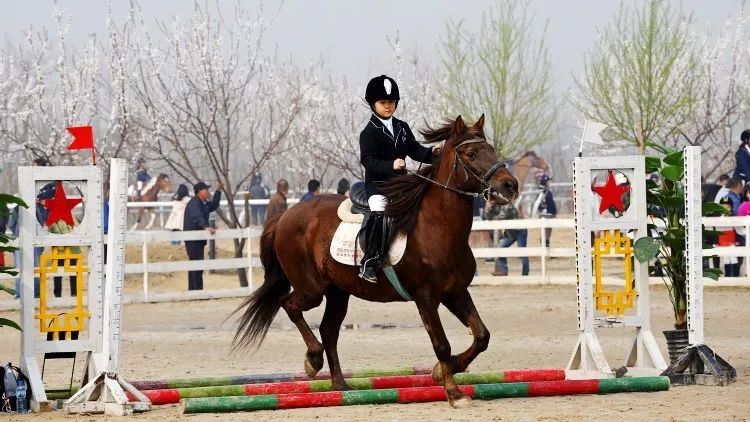 2018冠军杯马术巡回赛160余人马首战蓝调庄园