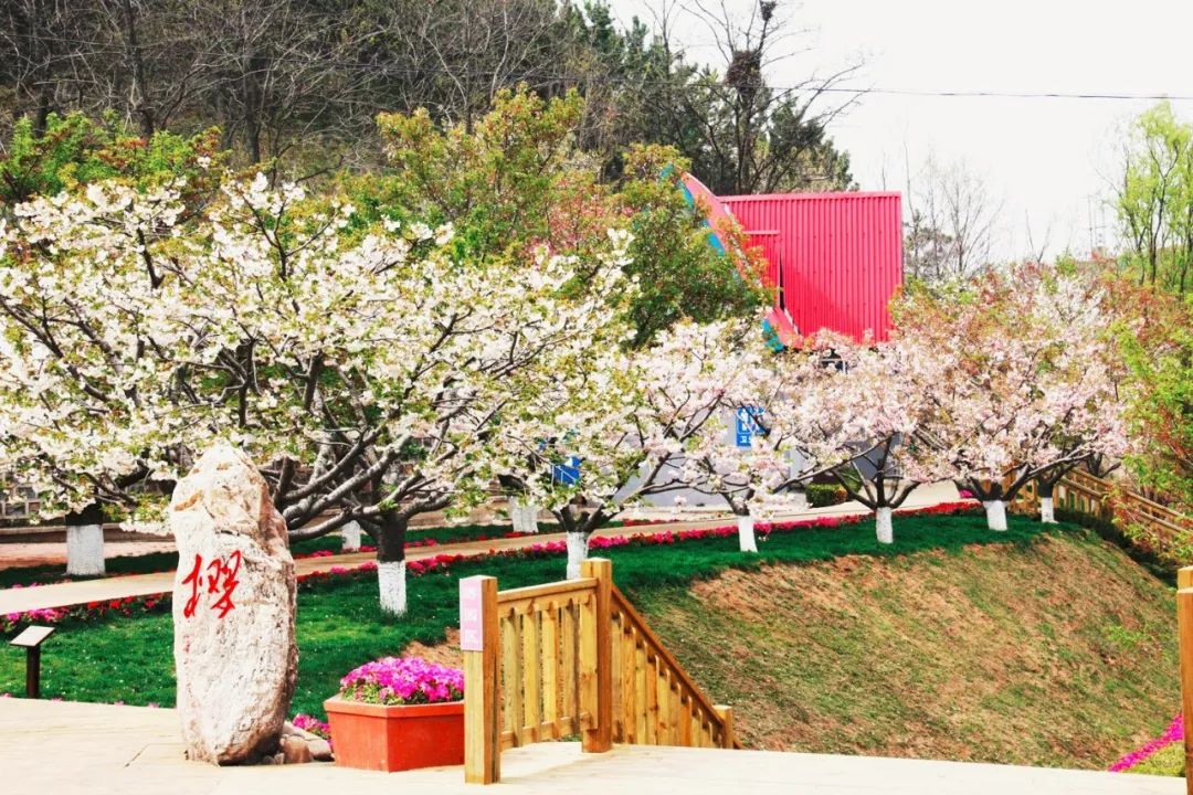 旅顺经济总量_旅顺火车站图片