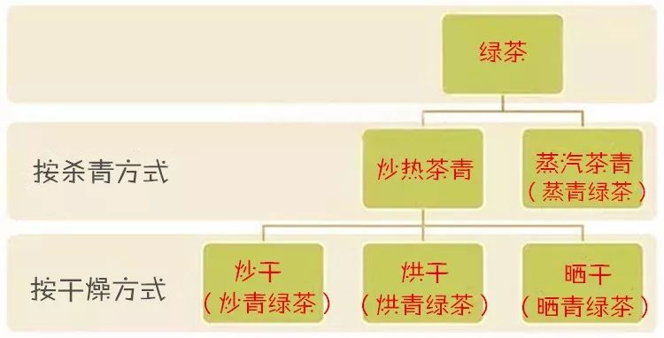 茶识| 四类绿茶的划分,一张图帮你理清