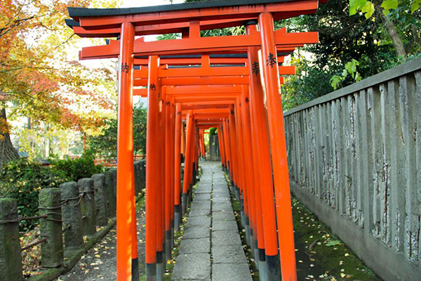 根津神社的鸟居