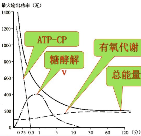 深度理解:运动时能量消耗特点