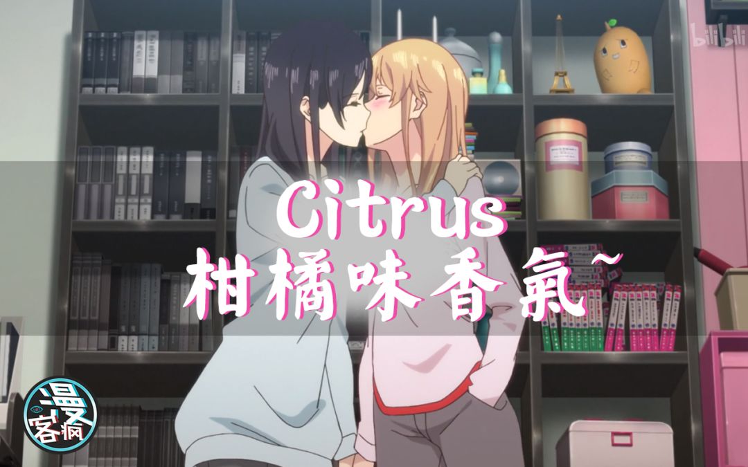 《citrus~柑橘味香气》