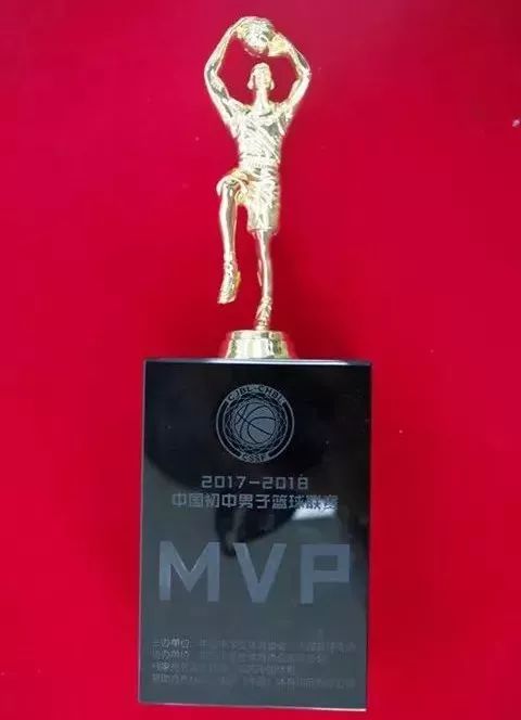 景小| "每个孩子都能改变世界"——全国中学生篮球mvp