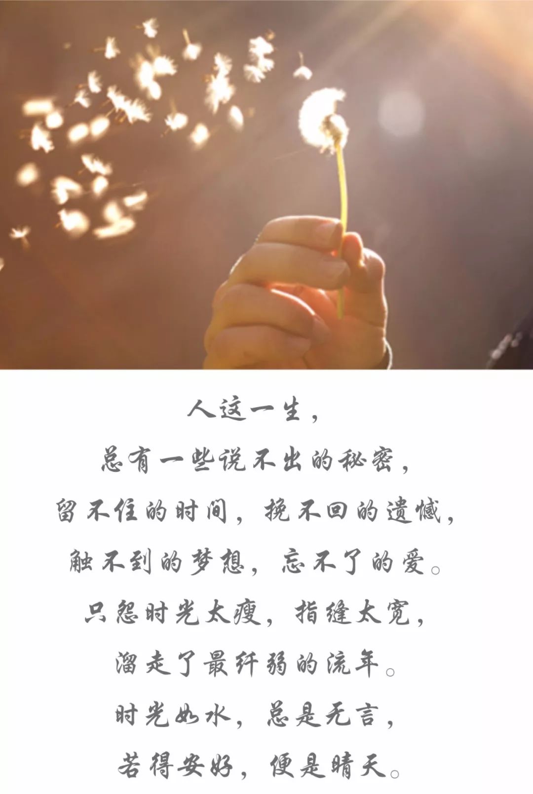 时光如水,总是无言,若得安好,便是晴天.