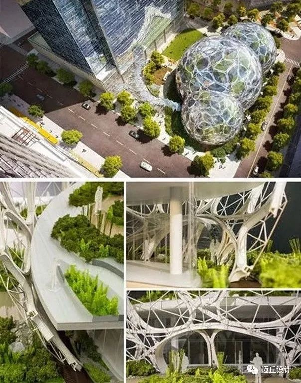 绿色"生态球 美国亚马逊新总部 amazon spheres