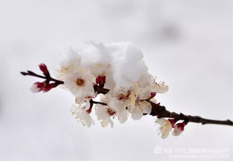 怀仁多少人口_宁夏有多少人口(2)