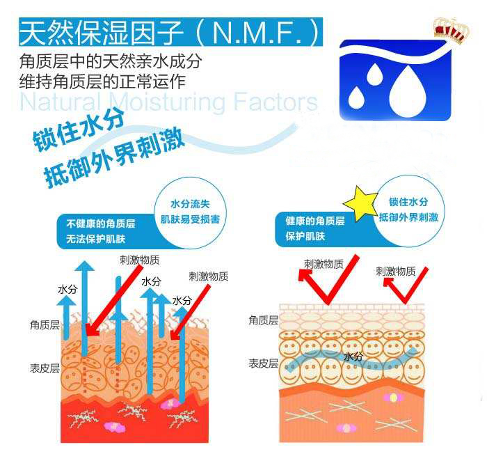 不断的水分,表皮中的天然保湿系统由水,脂质和天然保湿因子(nmf)组成