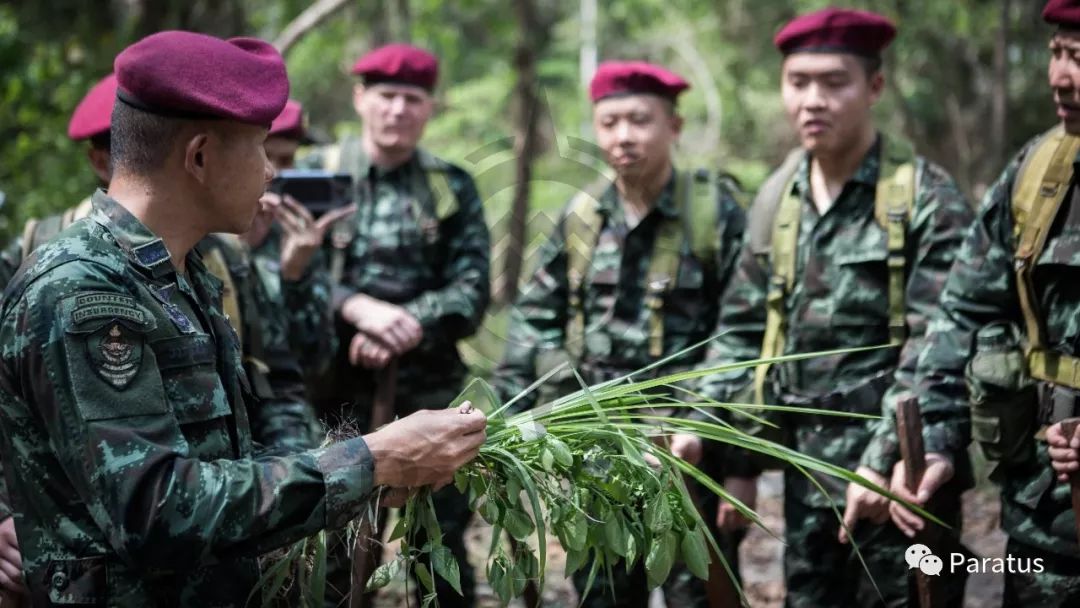 强者游戏泰国特种部队训练营第2期