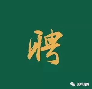 蕉岭招聘_南沙区人民政府(2)