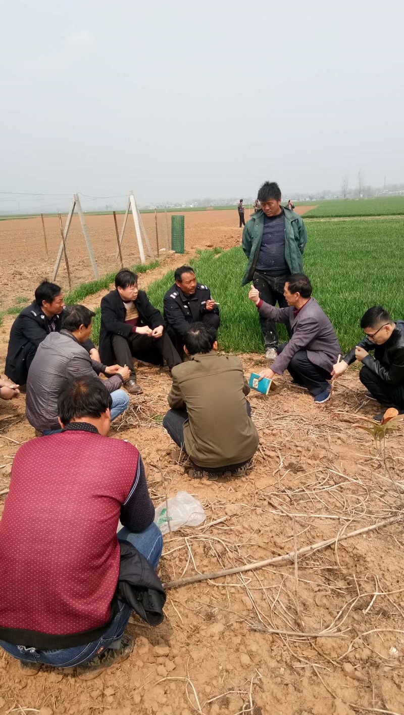 叶县洪庄杨司法所深入田间调解村民土地承包经营纠纷