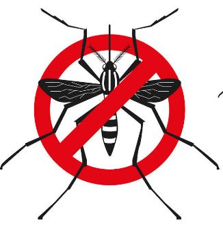 灭蚊防蚊,三招见效