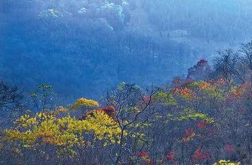 邳州人口2017_邳州苔干(2)